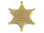 Sheriff Badge PNG Picture icon png