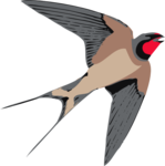 Sparrow PNG Free Download icon png