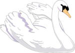 Swan PNG Clipart icon png