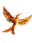 The Hunger Games PNG HD icon png