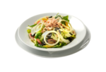 Tuna Salad PNG icon png