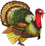 Turkey PNG File icon png