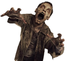 TWD PNG Transparent icon png
