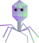 Virus PNG Clipart icon png