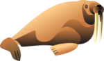 Walrus PNG File icon png