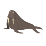 Walrus PNG HD icon png