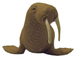 Walrus PNG Transparent icon png