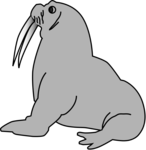 Walrus Transparent Background icon png