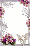 Wedding Frame PNG Transparent Background icon png