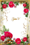 Wedding Frame PNG Transparent icon png